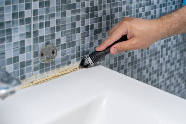 Best Black Mold Remediation in Seaman, OH